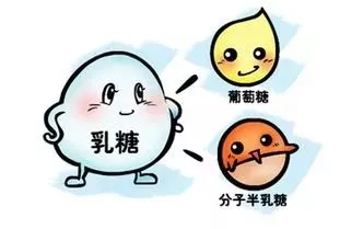 90%以上的人都有“乳糖不耐症”，宝妈春季实力之选